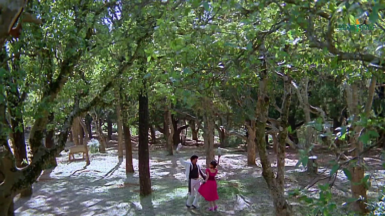 vlcsnap 2025 11 29 08h50m56s602