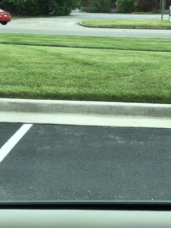 0DAEA52C-744A-4552-A470-A98879DB4403