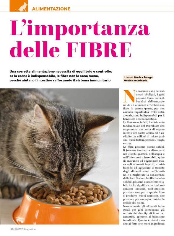 Ga Ma Giu-Lug 2025 (11)