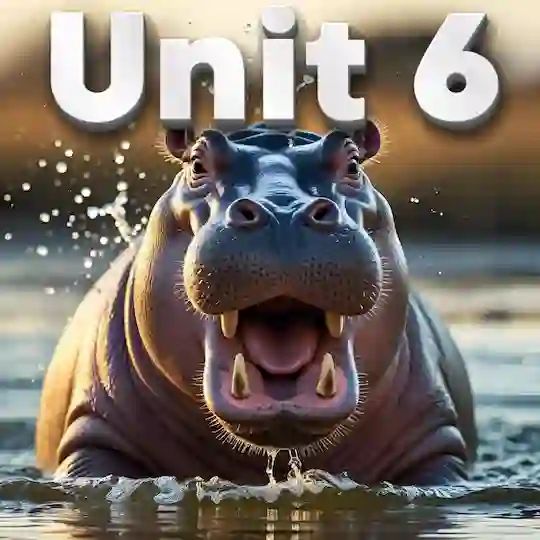 Unit 6