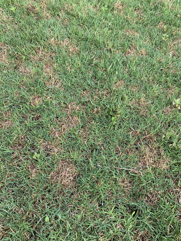 C7D8BB83-5F4D-4B5C-8A4B-96C102B4C659