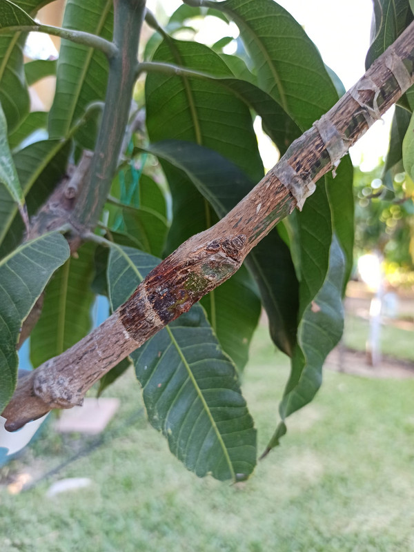 WhatsApp Image 2023-07-25 at 21.59.18 (1)