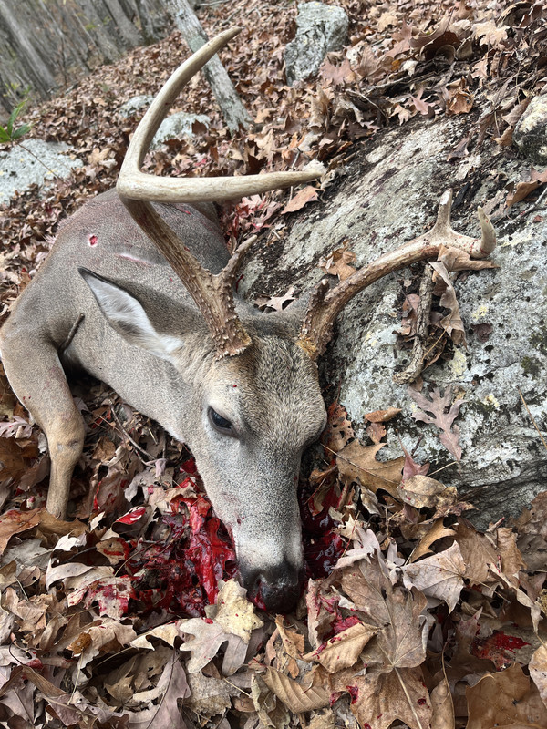 C6F8E261-B9D1-4E38-9B5C-1CF9EA7DD5CE