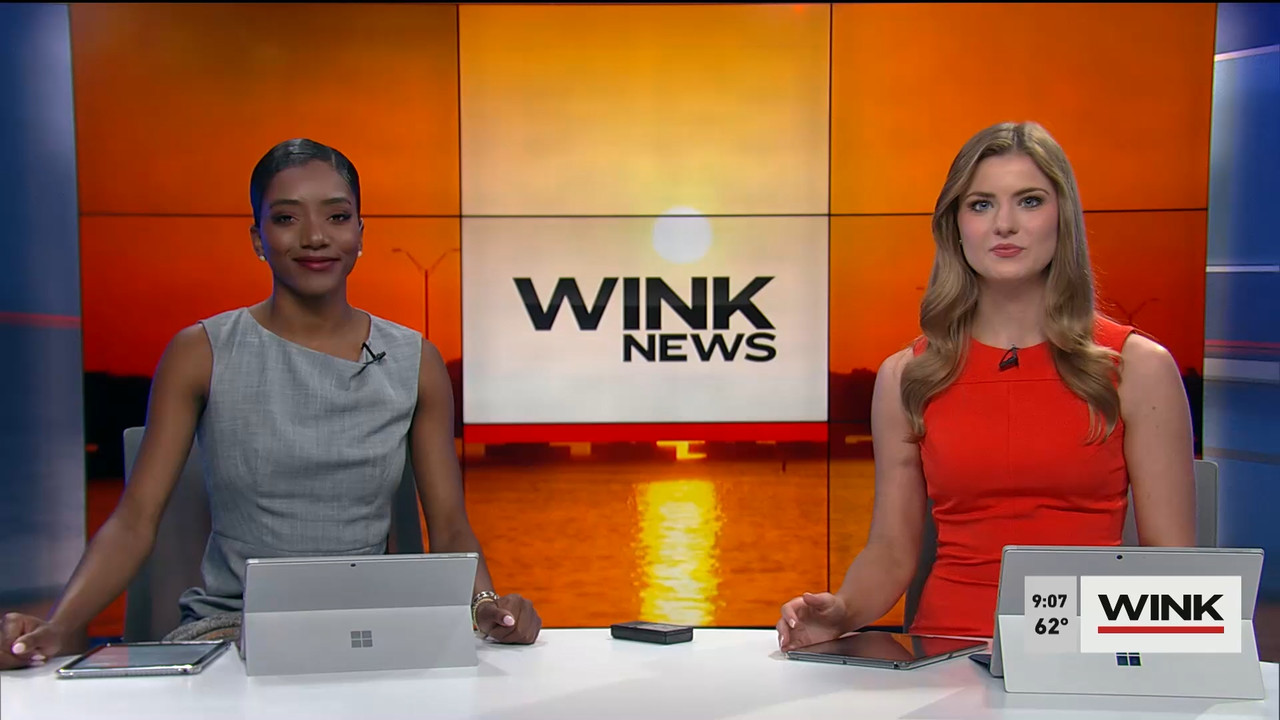 02.04 - 14.00.00 - WINK News at 9 00AM  ᴺᵉʷ. Morning news.ts_snapshot_00.13.59.949