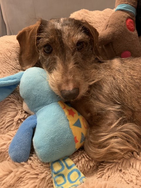 [Image: 580983-DB-E2-C2-4265-9-DED-D67-E7863-E7-EE.jpg]