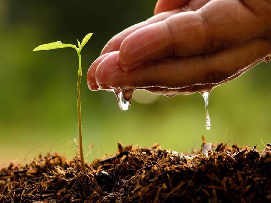 Soil Health Cards