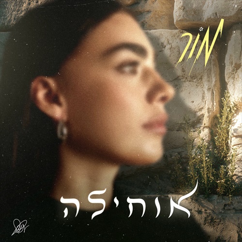 תמונה