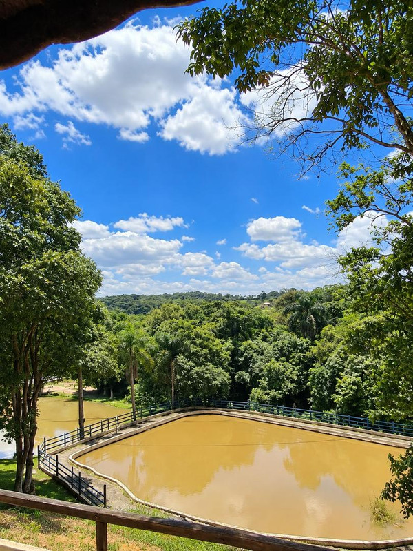Área Verde e Paz