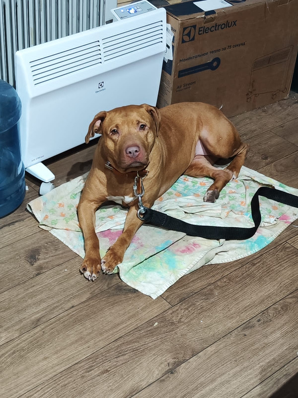 8A1E0922-530A-4075-8F25-6BD5BAE32B70