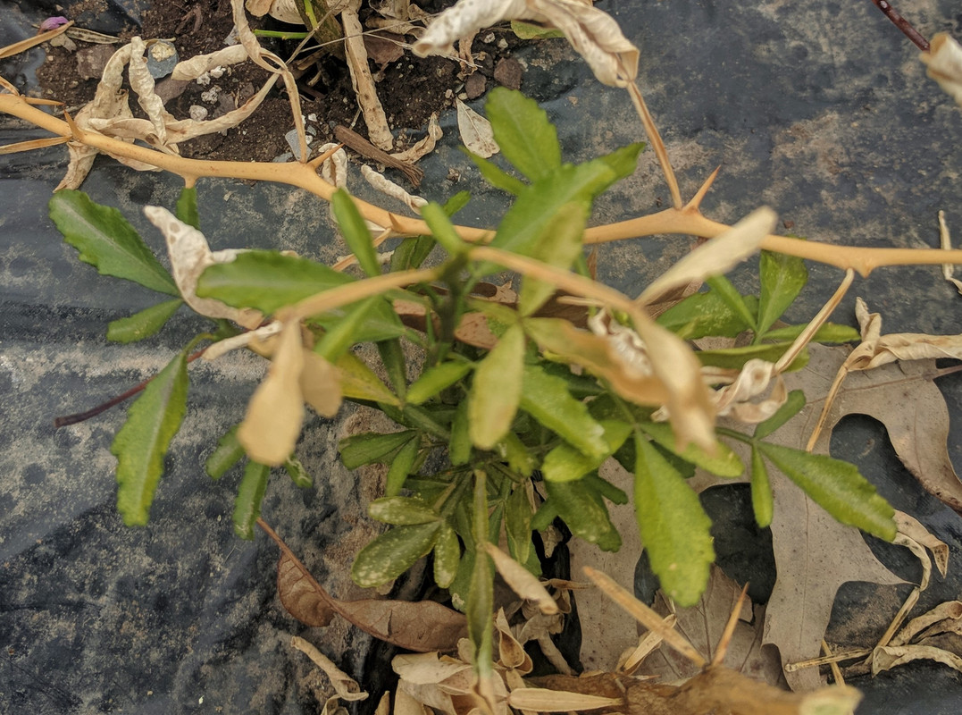 Apr 8 2019 I
