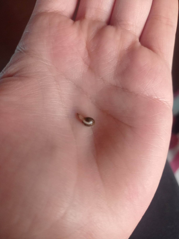 316741884_681190376932006_1329462349285271164_n