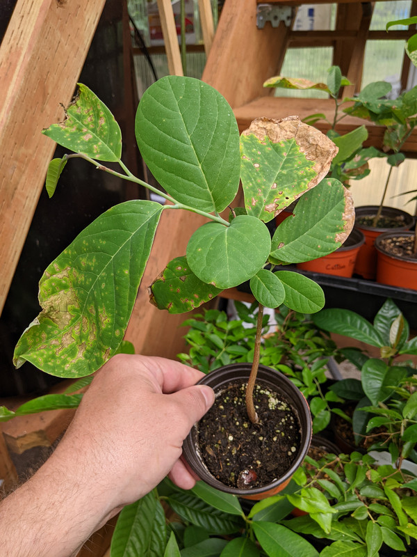 PXL_20230724_190531469