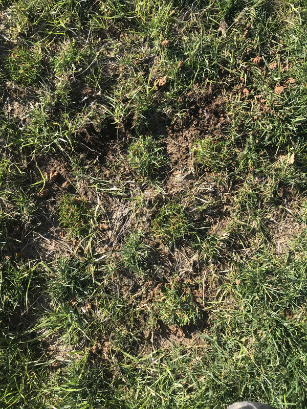 83721FDC-1460-4717-BC0B-856C28845255