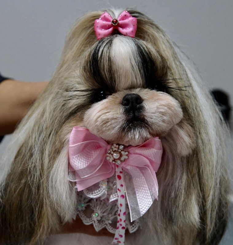 941FF5DF-D96E-4D24-BEC6-785ADF98DE17