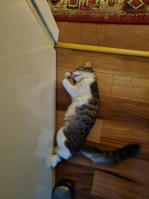 IMG-ce18c9668edba655c98c924c4fa1b091-V