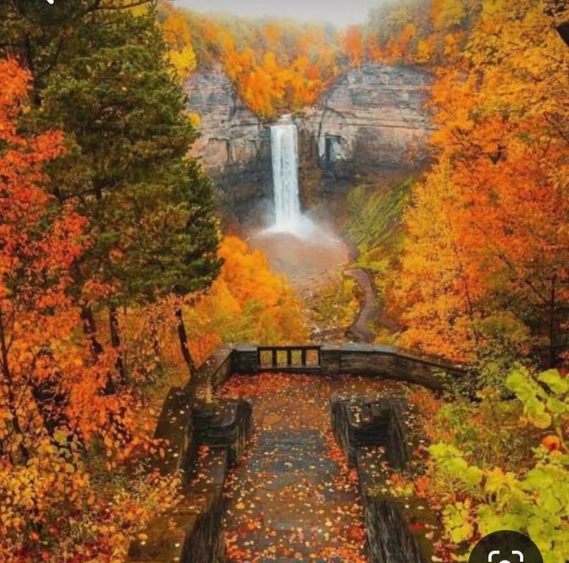 Screenshot_20231220_104411_Pinterest