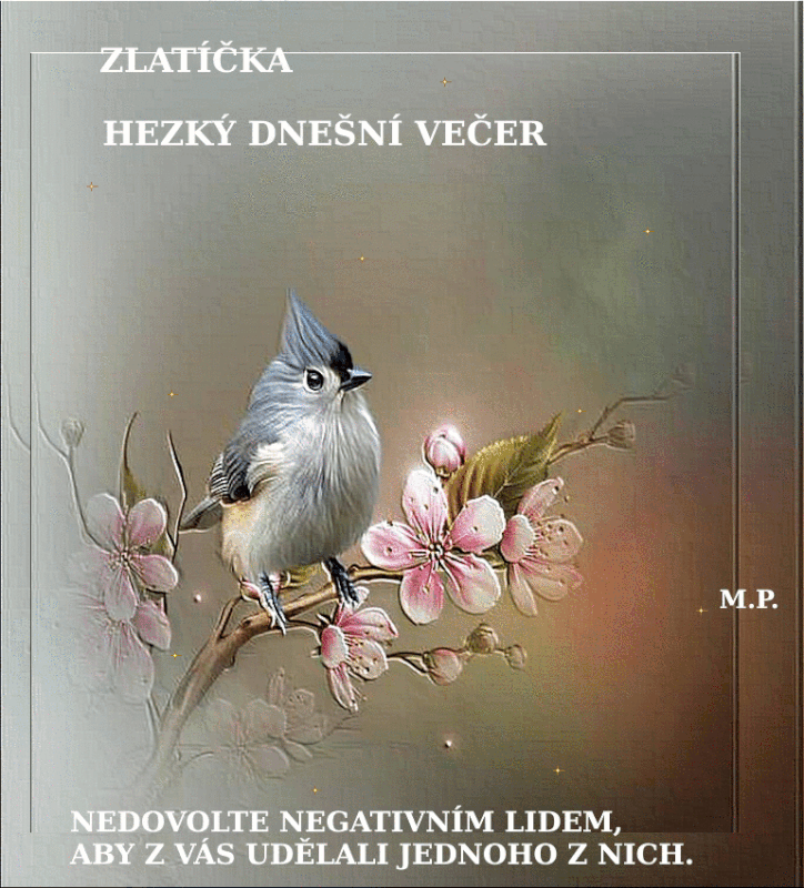 NEDOVOLTE-HV2.gif