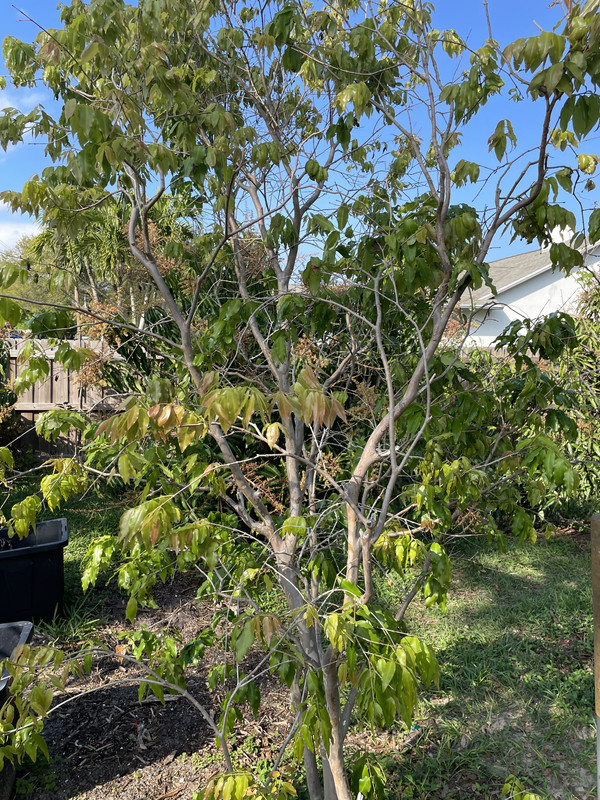 31858232-B591-4314-8BEE-93BCBC6391F0