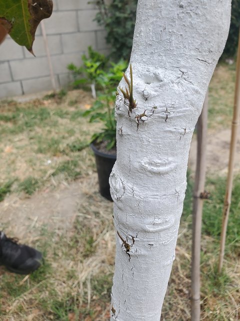 26ECCC16-3000-492F-A31D-80DE4C41D438