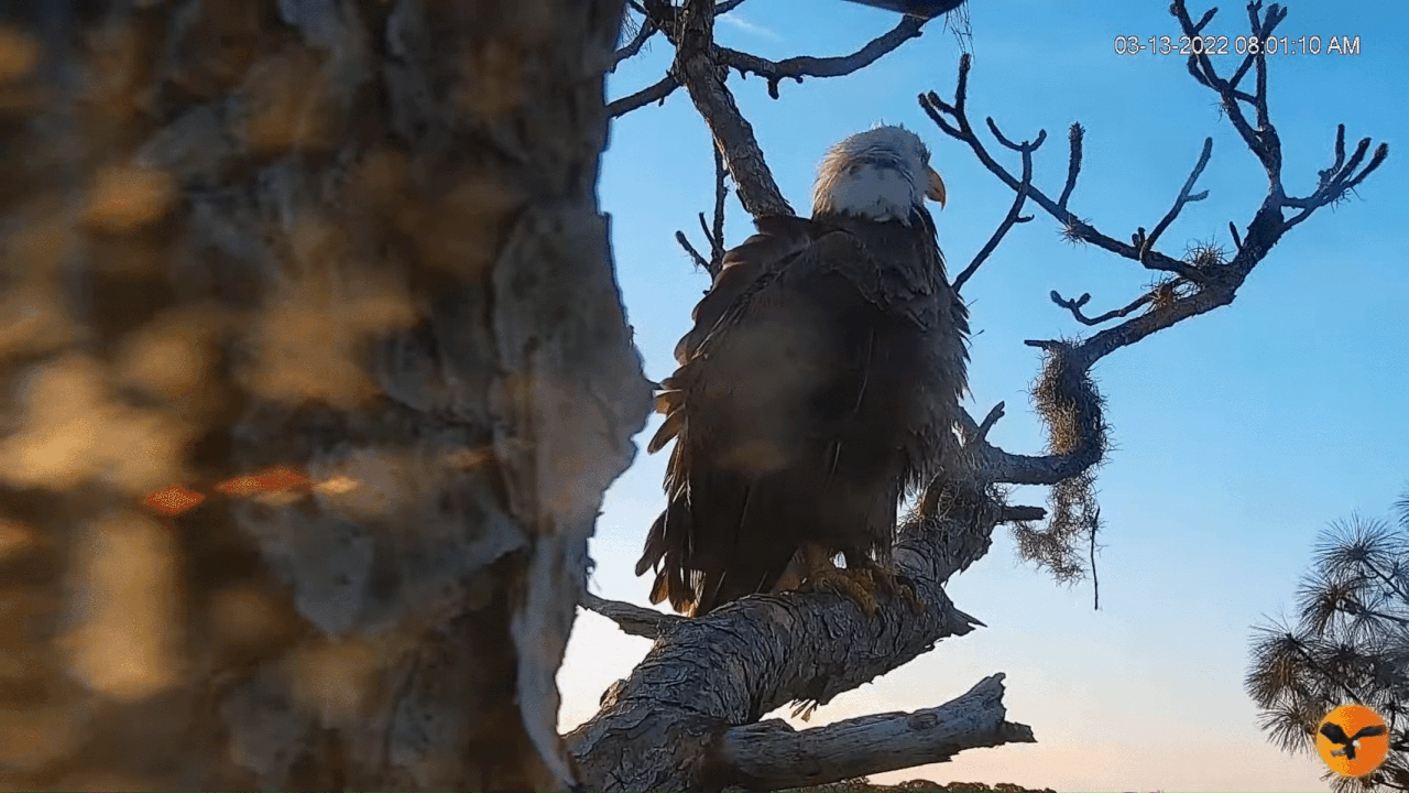 Webp.net-gifmaker (3)