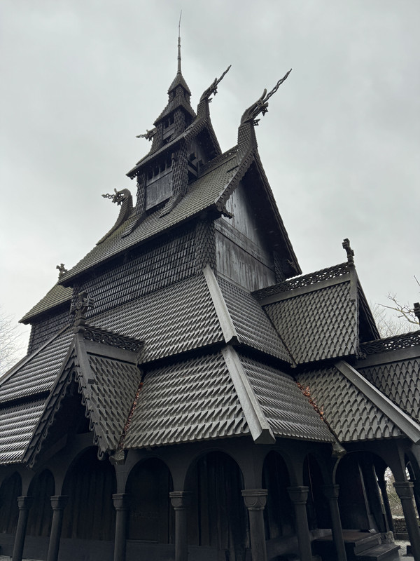 [Immagine: IMG-9823.jpg]