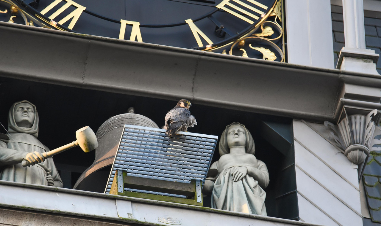 Amsterdam/Rijksmuseum tot 26022023 2