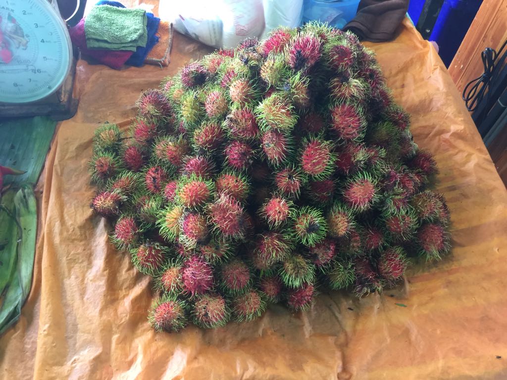 F17E5F30-E93D-47EB-AC5E-E2508C59743D