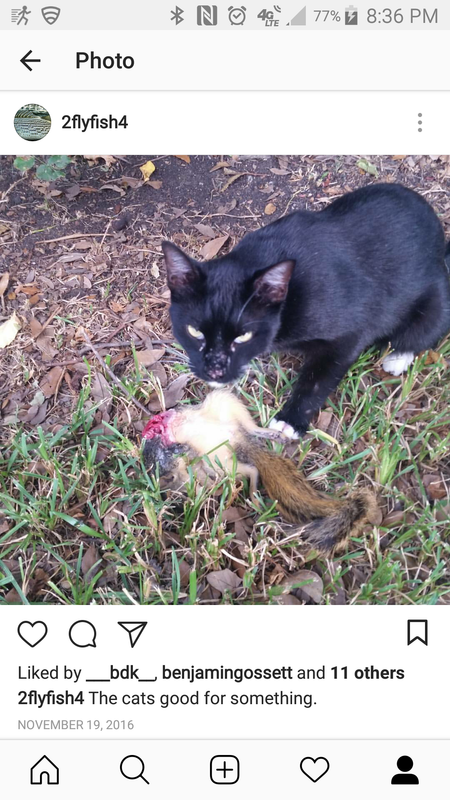 Screenshot_2018-06-17-20-36-43