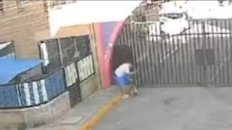 Arrestan a hombre que atacó con brutalidad a su propia perrita en la vía pública