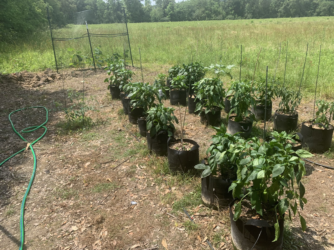 2760FD89-2953-40D5-904F-76926703221D