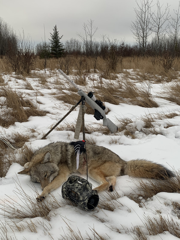 748D7F0B-1C29-4B8C-9B1B-53CCF79AAF48