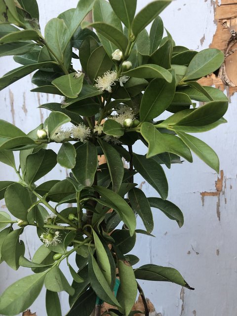 0E7C3DB6-FD23-45D5-9943-FB7DA84941D6