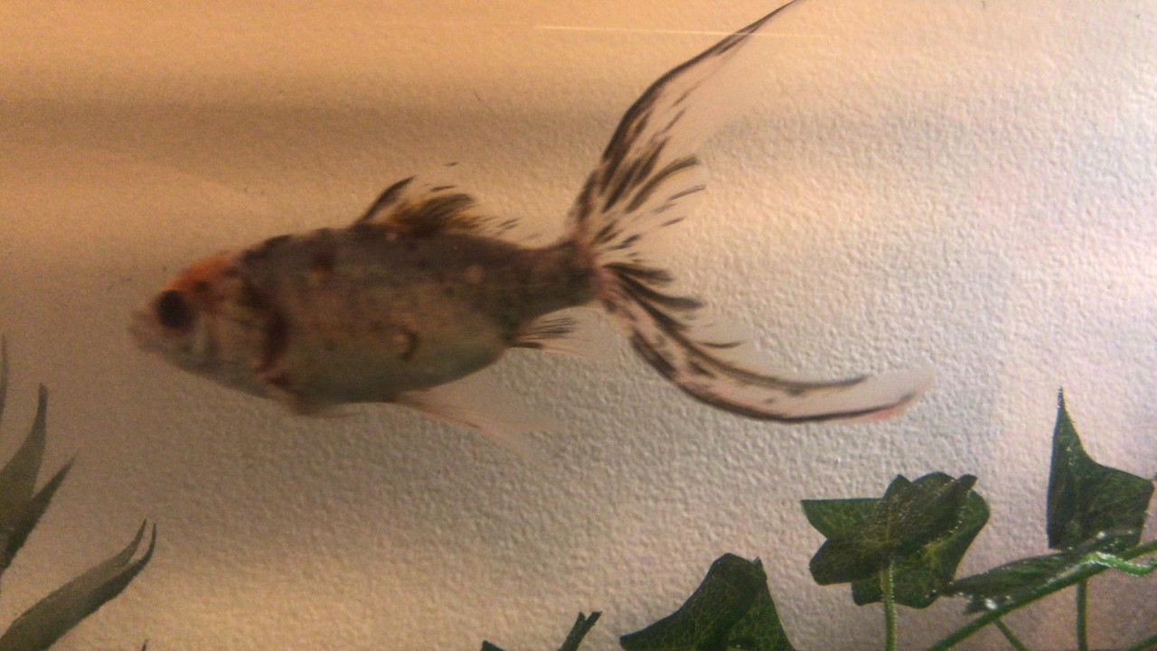 EEC9CB0D-6DD1-45C6-B7AE-92AB3C876F3D