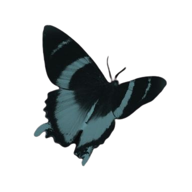 Логотип Hysteria