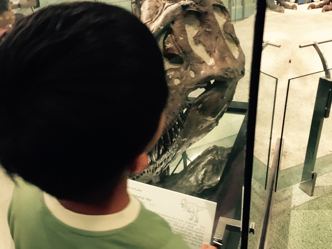 b633c246ed062f10cd6323979def740b