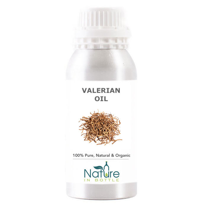 Valerian Essential Oil Organic Valeriana Officinalis