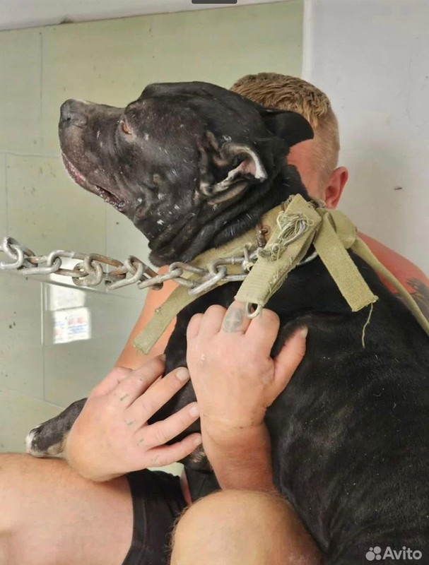 WhatsApp Image 2023-10-07 at 17.12.27 (2)