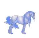cheval-4.png
