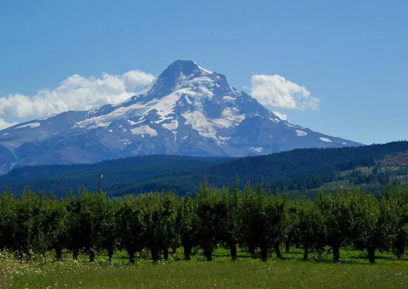 Best Activities in Hood River