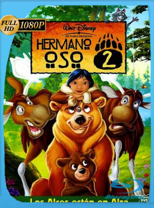 Tierra de osos 2 (2006) BRrip [1080p] [Latino] [GoogleDrive] [RangerRojo]