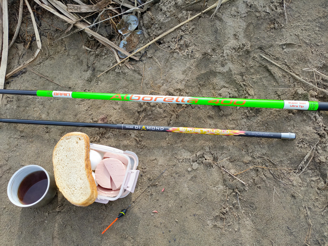 IMG_20250406_124316_041