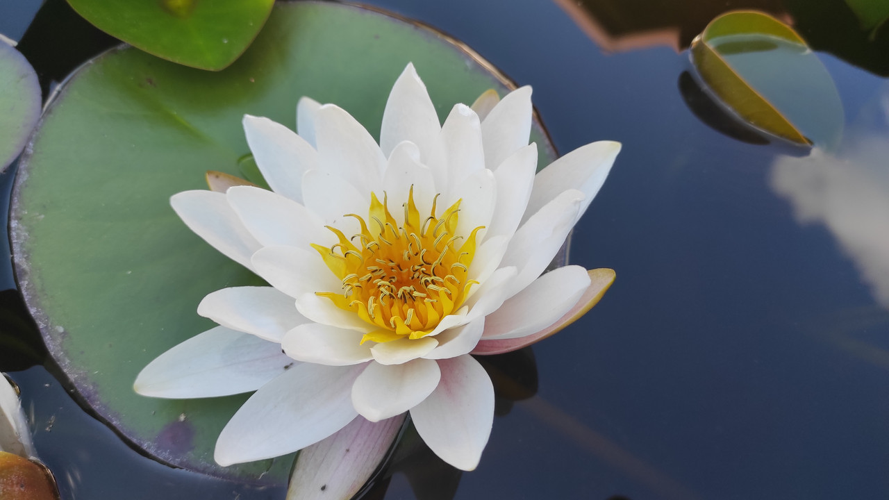 01.14 - IMG_20220615_170429 (Czesio1)