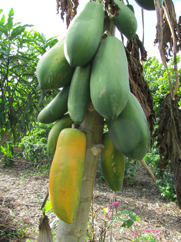 IMG 1887 — Postimages