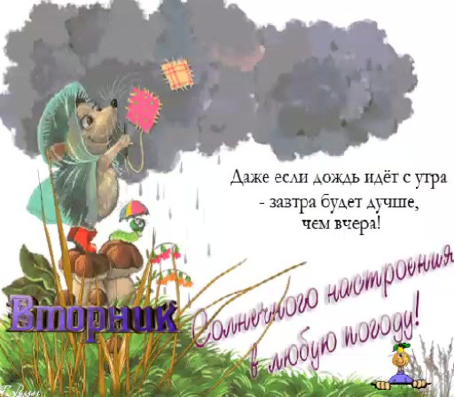 1648463259-2-krot-info-p-otkritki-s-dobrim-dozhdlivim-utrom-krasivi-2.jpg