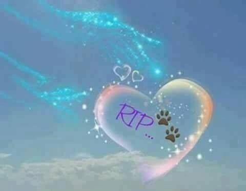 [Image: IMG-0618.jpg]