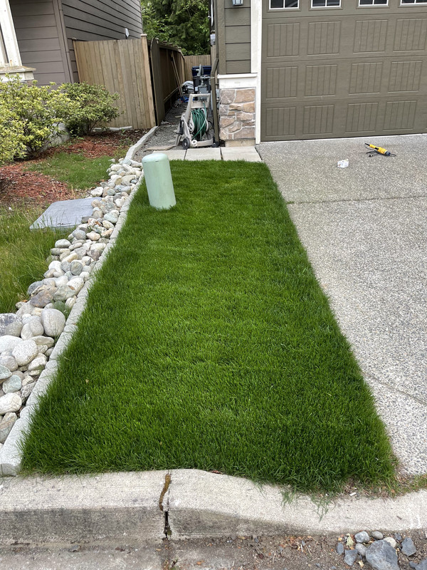 9BDE2F27-C5D1-4408-A1D2-D3C45F701FB2