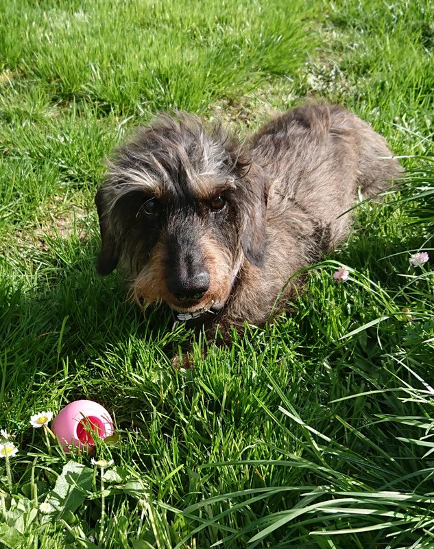 [Image: 20240409-221122.jpg]