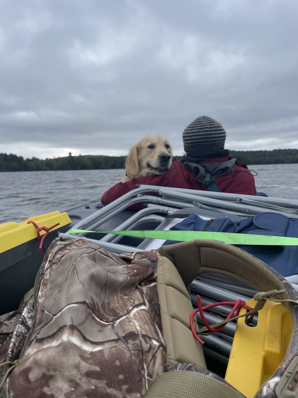 5024BD53-5FCD-45C9-B7EB-E41C3E0DB0CD