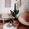 Home-Decor-Alt-4