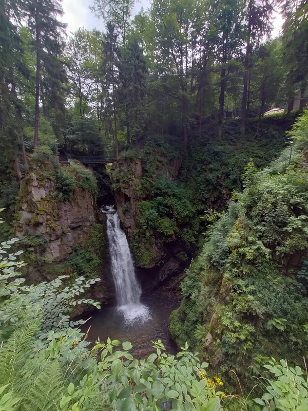 011 - IMG20210802132719